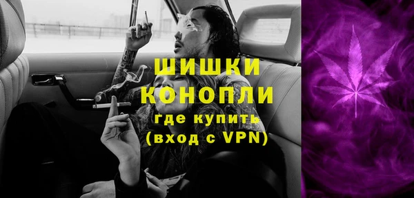 PSILOCYBIN Аркадак