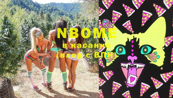 PSILOCYBIN Аркадак