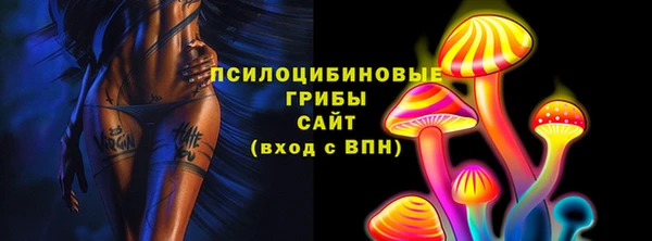 PSILOCYBIN Аркадак